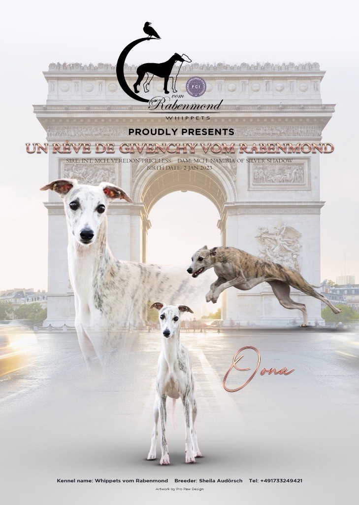 Nous prévoyons notre prochaine portée au printemps 2026