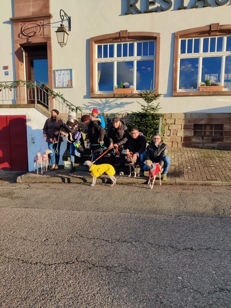 Réunion de chiots pour le 1er anniversaire 05/01/24